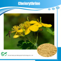 Chelerythrin 98% / Celandine Extrakt